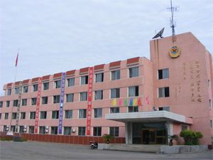 27.jpg