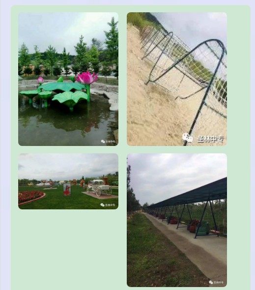04.jpg