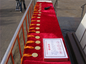 我校17名学生荣获2008中华海内外少年书画大赛部分奖项