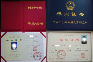 中专毕业证及专升本大学毕业证